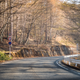 Image for article titled The 2018 Honda Civic Type R Brought Me To Best Road From Initial D